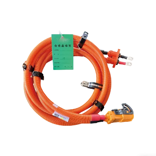 Warum unseren Hochspannungs-Kabelbaum für Elektrofahrzeuge wählen?