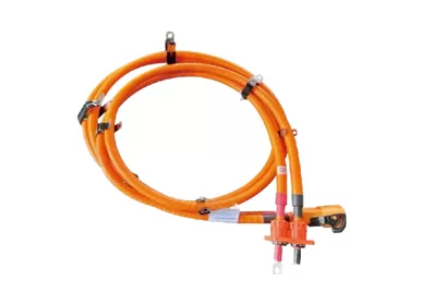Hintergrund der Kabelbaumindustrie für Elektrofahrzeuge