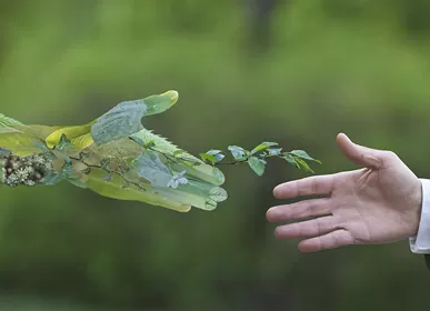 Mit einer Investition von 100 Millionen US-Dollar wurde Rosenbergs Elektronikprojekt in der Changzhou National High-tech Zone unterzeichnet.